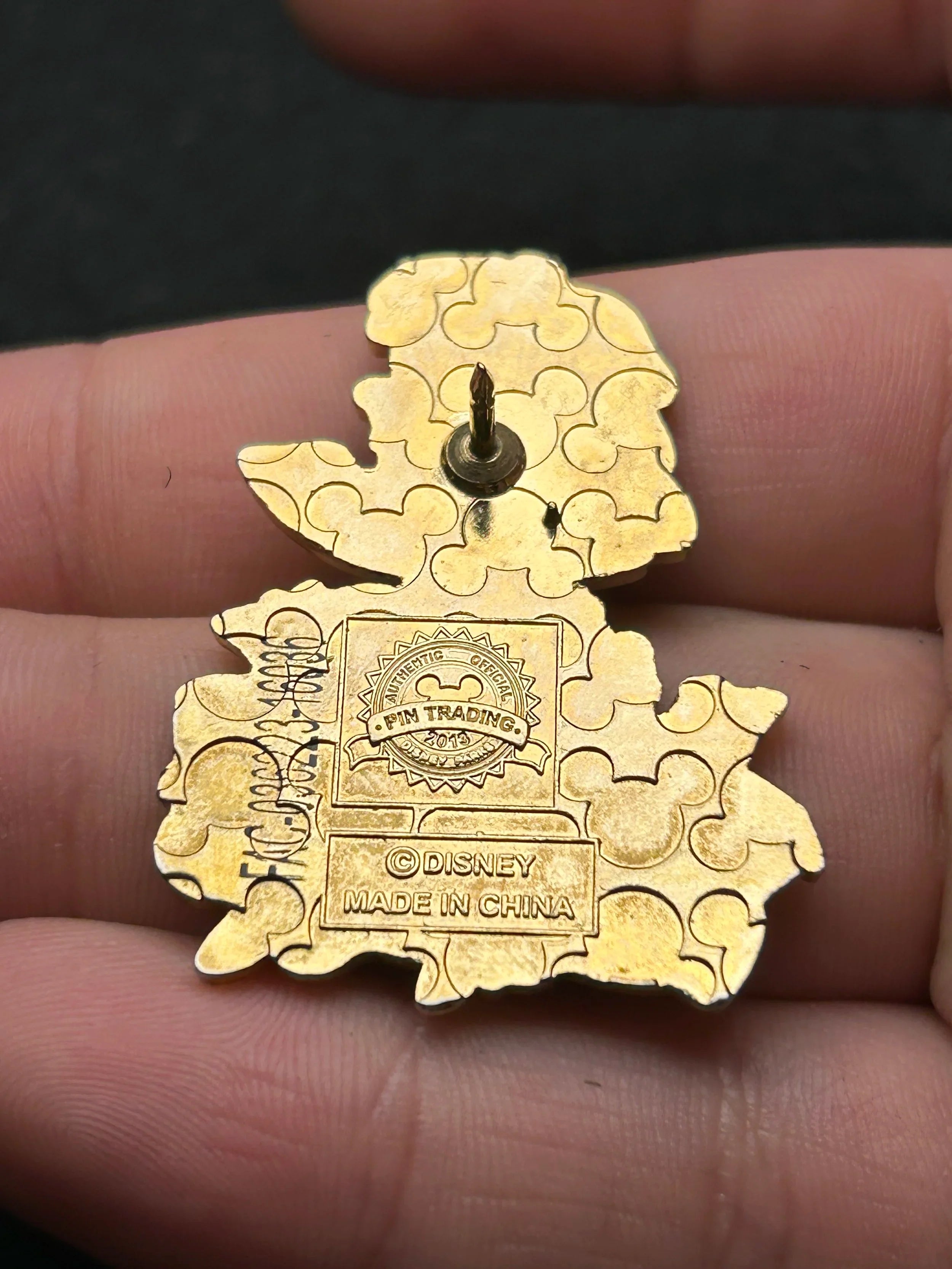 2013 - Chip and Dale - Surfs Up - WDW - Typhoon Lagoon - Disney Pin
