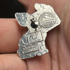 2009 - Captain the Dog - Varsity Icons - Mystery Pin