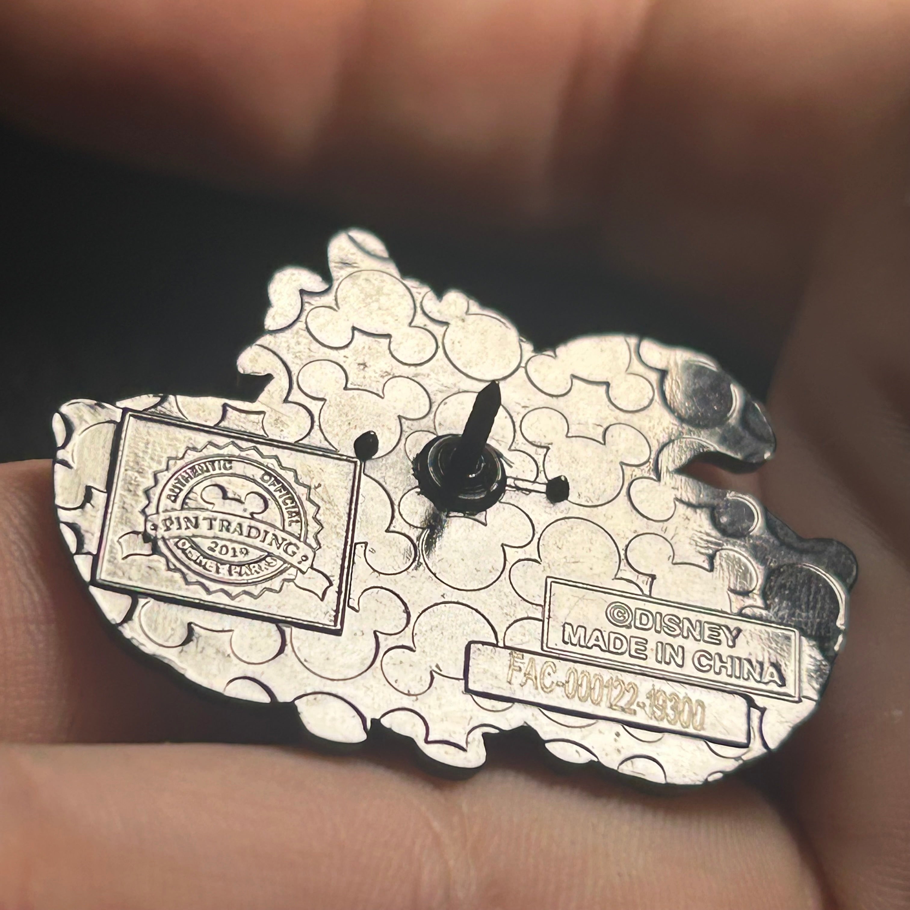 2019 - Hei Hei and Pua -  Leaf Background - Moana - Disney Pins