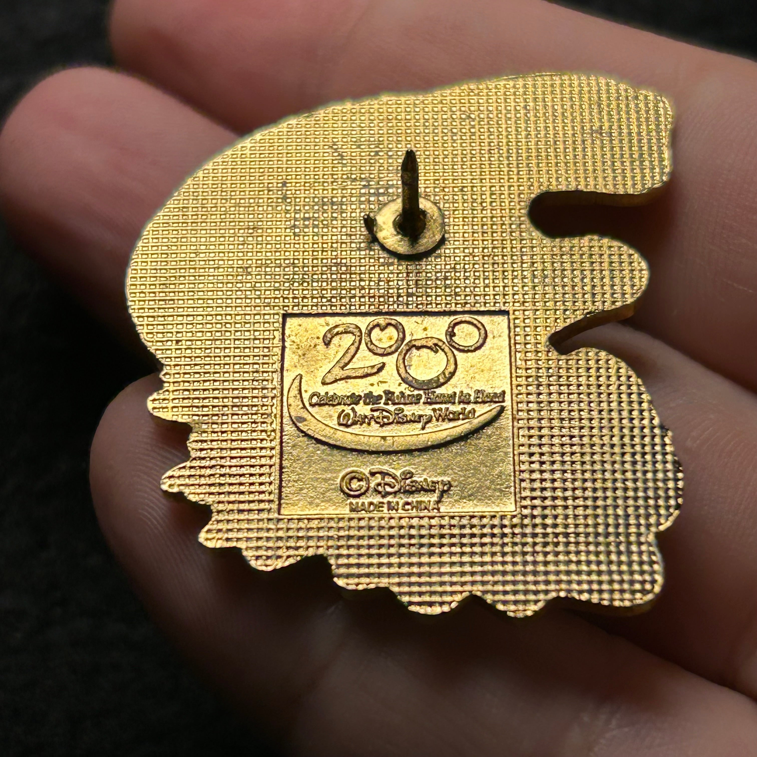 2000 Vintage - Typhoon Lagoon - Alligator Surfing - Dated - Disney Pin