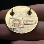 2012 - Pinocchio and Jiminy Cricket - Best Friends - Mystery Pin