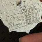 2024 - Asha and Star - Wish - Mystery Pin