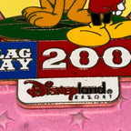 LE 2002 Flag day pin