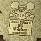 LE 2002 Flag day pin
