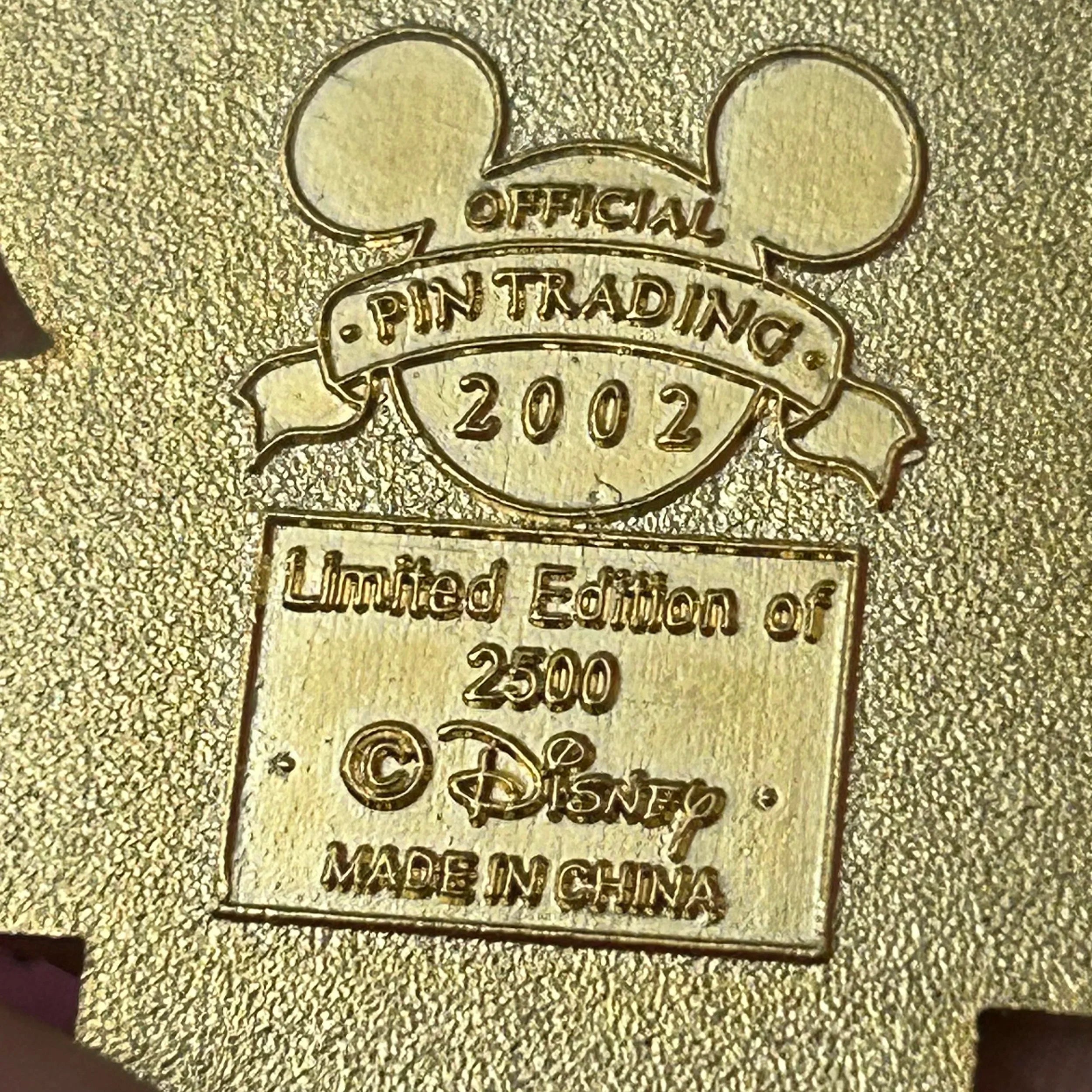 LE 2002 Flag day pin
