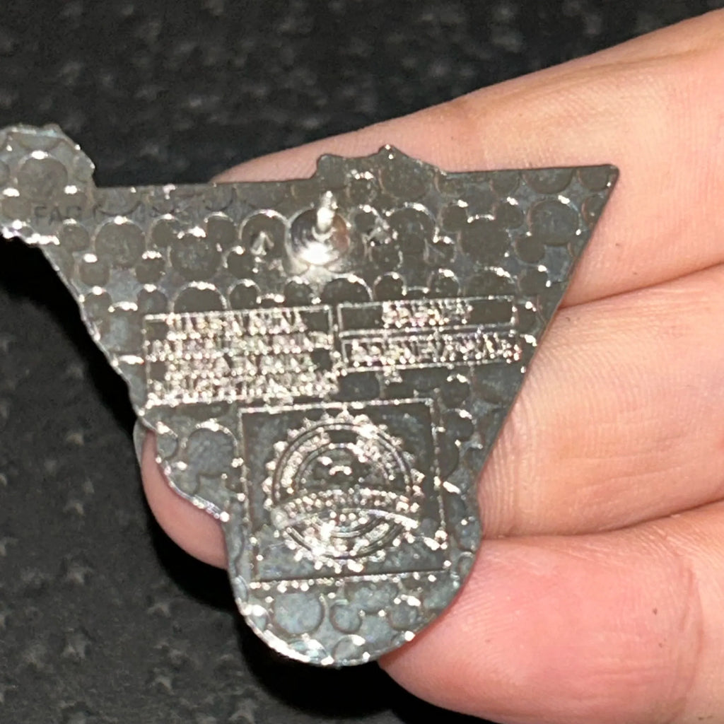 2022 - Miguel - Coco - Playing Guitar - Triangle - Disney Pin