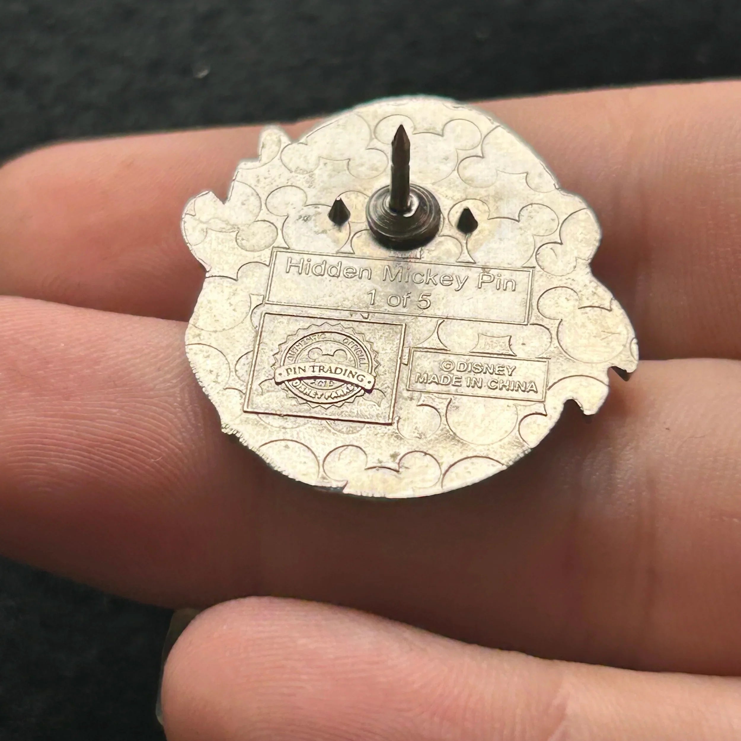 2013 - Iago - Aladdin - Hidden Mickey - Disney Pin