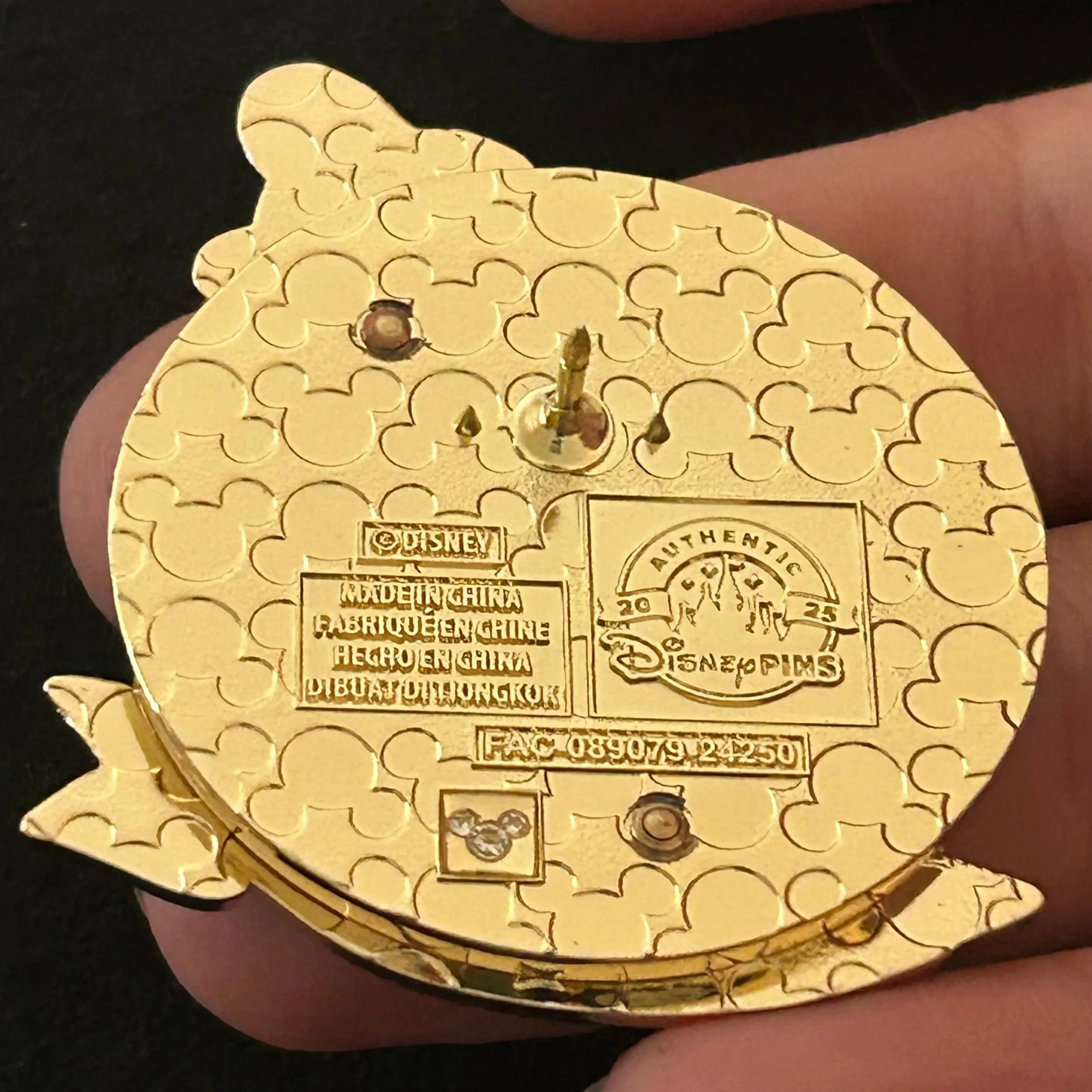 2025 - Goofy - Wooden Style - Disney Pin on Pin
