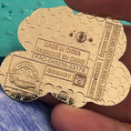 2023 cast exclusive LR wish pin