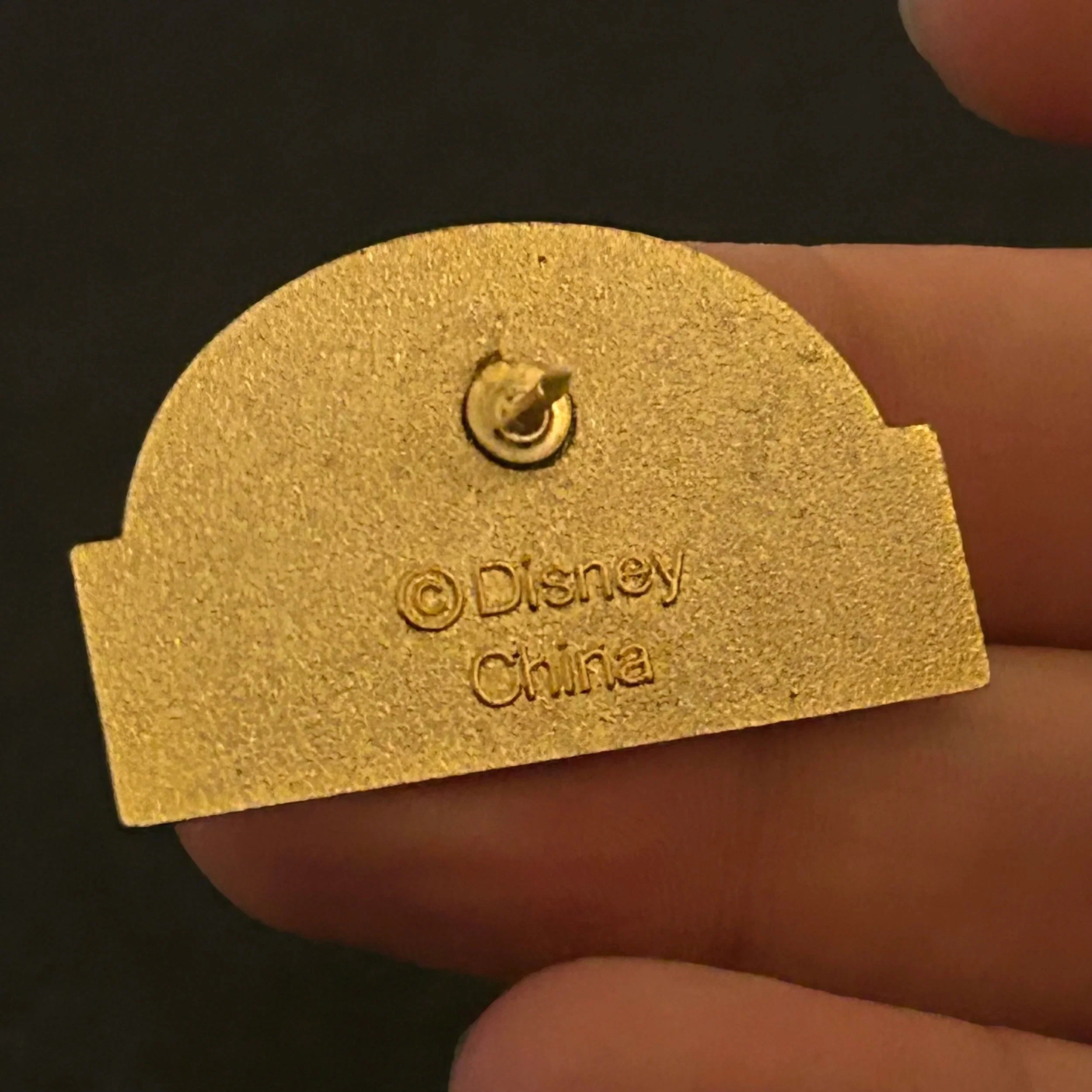 Vintage - Diversity - Walt Disney World Resort - Respect, Appreciate, Value Everyone - Disney Pin