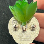 2024 - Poison Apple - Plant Series - Snow White - Disney Pin