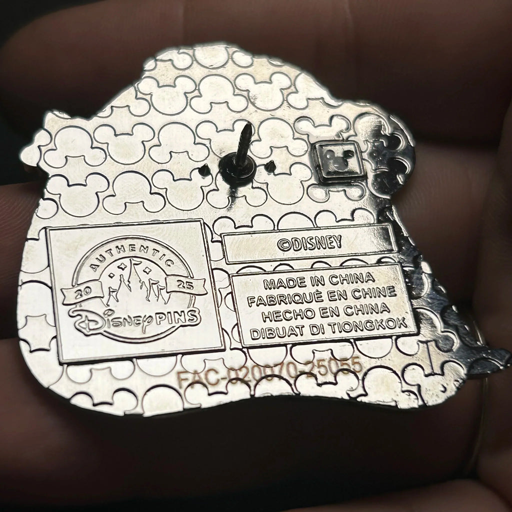 2025 - Asha Valentino And Star - Wish - Disney Pin