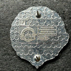 2024 - Stitch - Adventureland - Mystery Pin